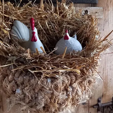 & Cocon Des Puys - Au Coeur Des Volcans D'auvergne