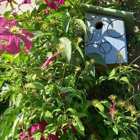 Сasa de vacaciones & Cocon Des Puys - Au Coeur Des Volcans D'auvergne *