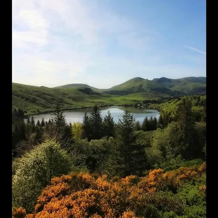& Cocon Des Puys - Au Coeur Des Volcans D'auvergne