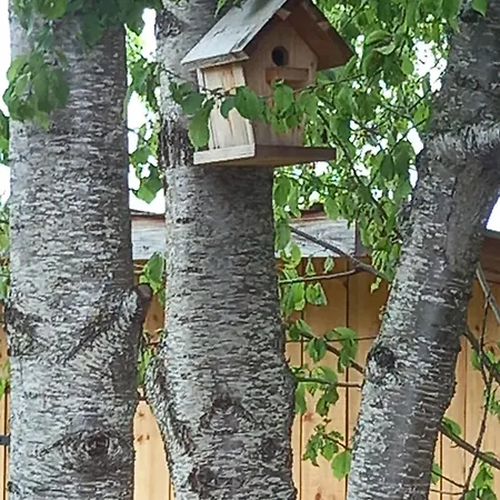 Сasa de vacaciones & Cocon Des Puys - Au Coeur Des Volcans D'auvergne *
